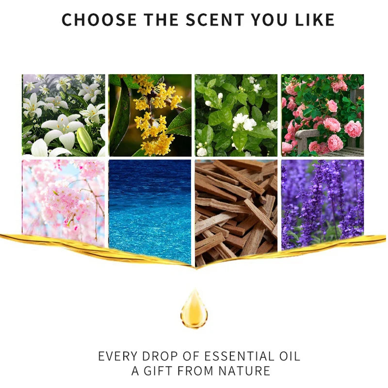 10ml Incense Water Soluble Essential Oil Lavender